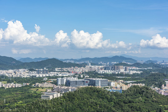 深圳宝安区和南山区西丽片区