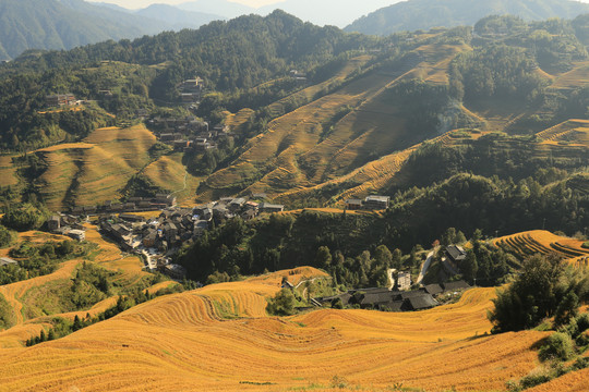 龙胜梯田风光