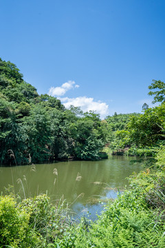 山中水库