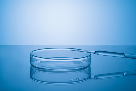 实验室里的玻璃器材培养皿