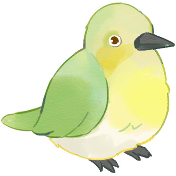 寵物水彩手繪插畫小鳥