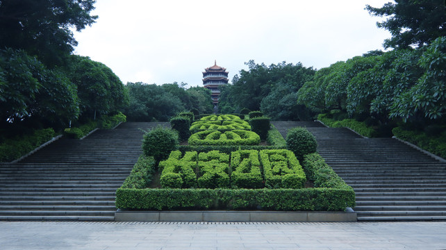 城镇风景区绿植公园