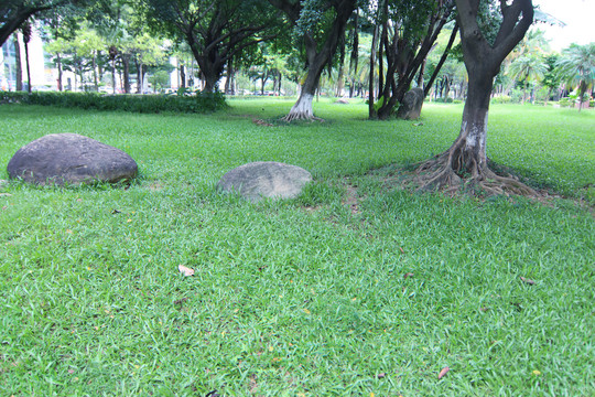 街道小公园绿化风景