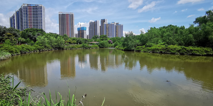 红树林湿地公园