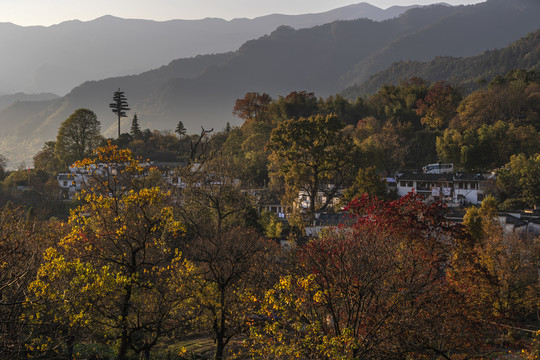 塔川秋色图片下载