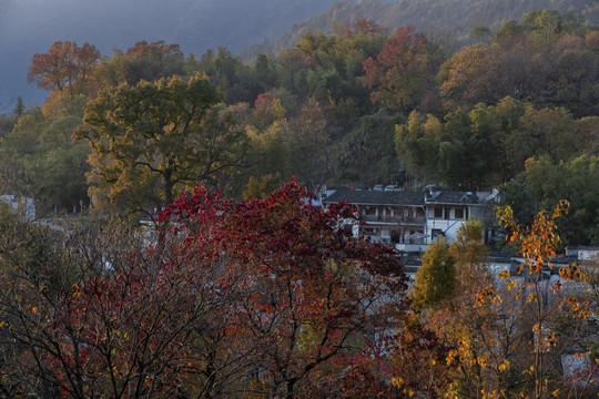 唯美塔川秋色图片