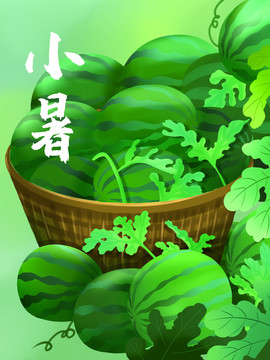 小暑大暑立夏节气插画海报