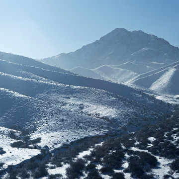 山雪