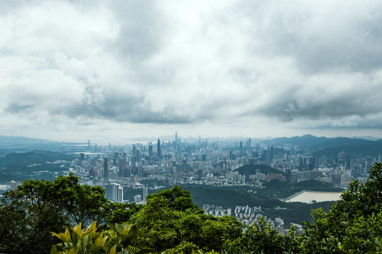 深圳大全景