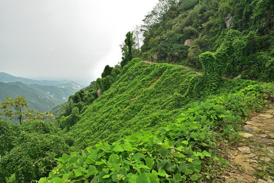 河北石家庄平山县藤龙山风景区