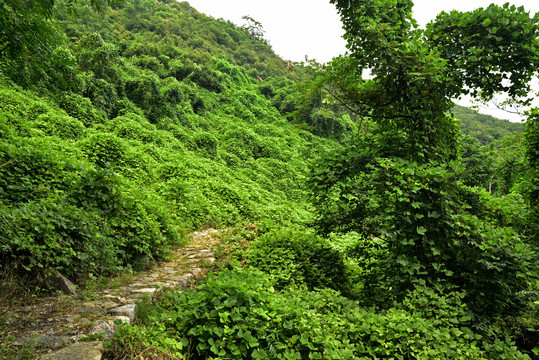 河北石家庄平山县藤龙山风景区