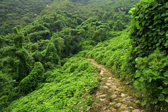 河北石家庄平山县藤龙山风景区