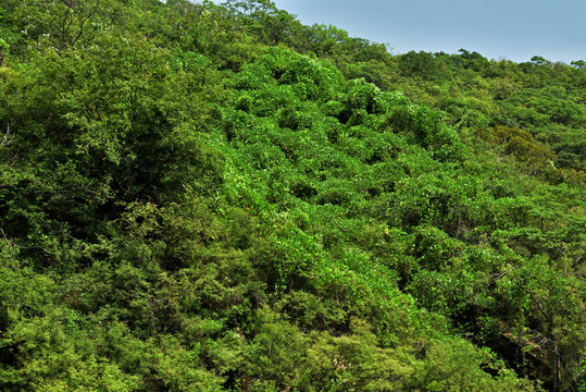 河北石家庄平山县藤龙山风景区