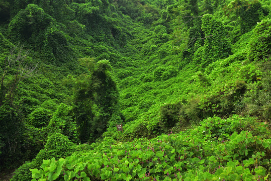 河北石家庄平山县藤龙山风景区