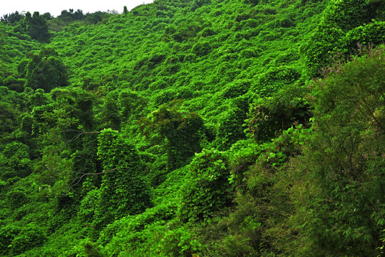 河北石家庄平山县藤龙山风景区