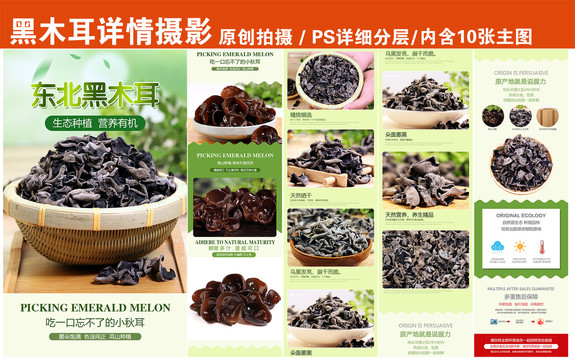木耳詳情頁