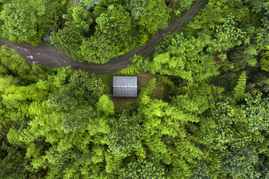 林间小屋