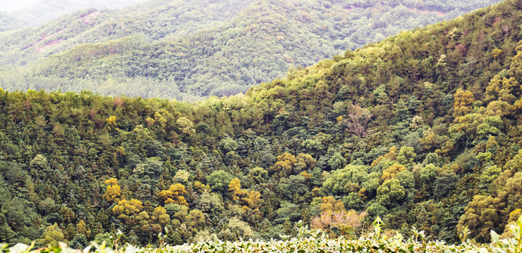 多彩高山