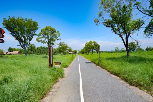 野外公路