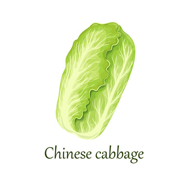 清新嫩綠大白色手繪插畫素材