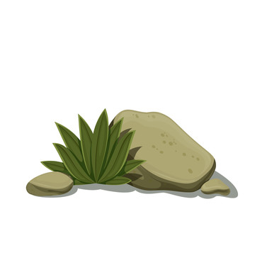 綠色系荒野石頭和植物插畫