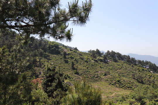 信阳龙袍山山顶风光大别山自然