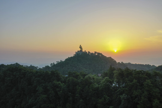 南山大金鹰