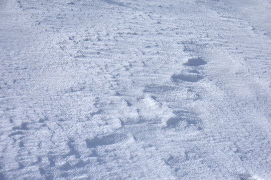 雪痕素材