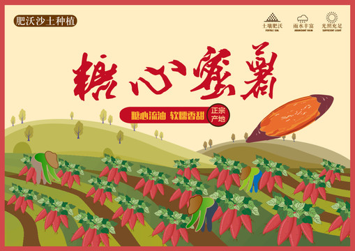 紅薯包裝