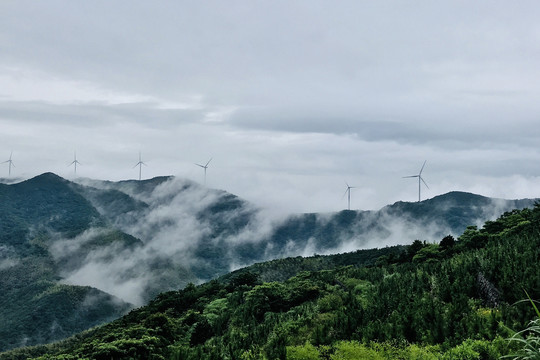 宁波最美风车公路