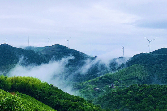 宁波最美风车公路