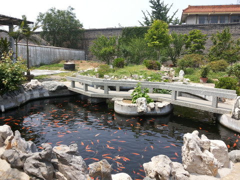 别墅区锦鲤池