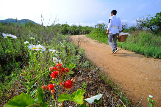 乡间小路