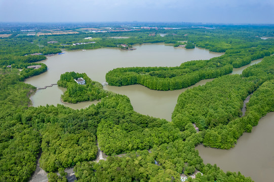 上海海湾国家森林公园