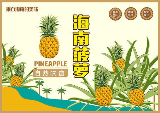 菠蘿包裝插畫鳳梨