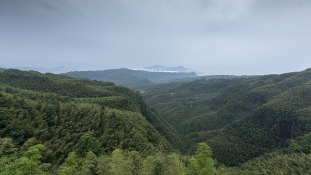 宜宾蜀南竹海自然风光