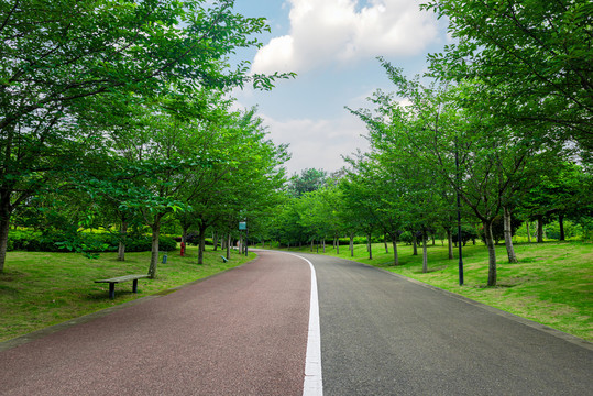 林荫道路