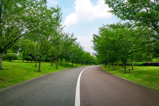 林荫道路