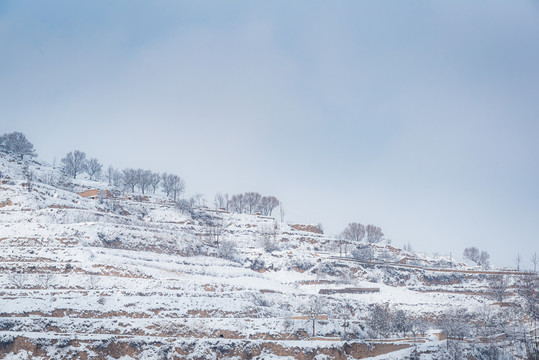 西北乡村雪景