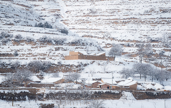 西北乡村雪景