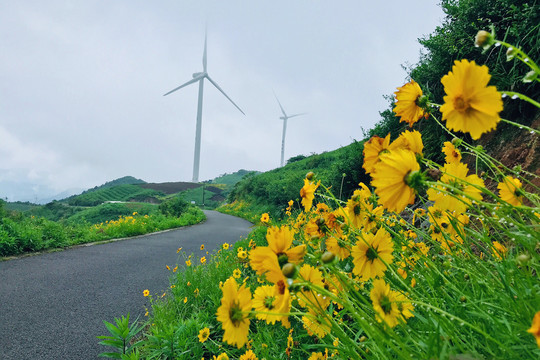 最美风车公路