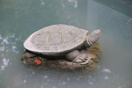 水中脚鱼王八鳖石雕