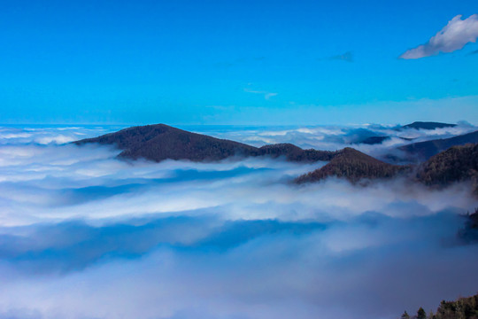 大雾山