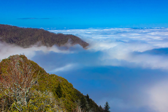 大雾山