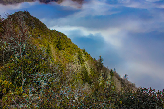 大雾山