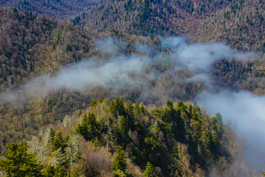 大雾山