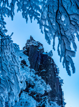 春雪羊狮幕