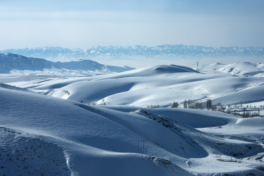 山雪