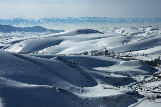 山雪