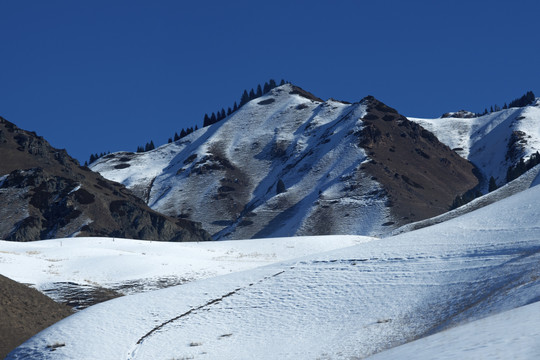 山雪